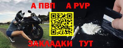 стафф Гай