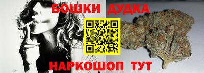 стафф Гай