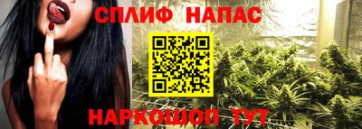 стафф Гай