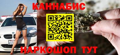 стафф Гай