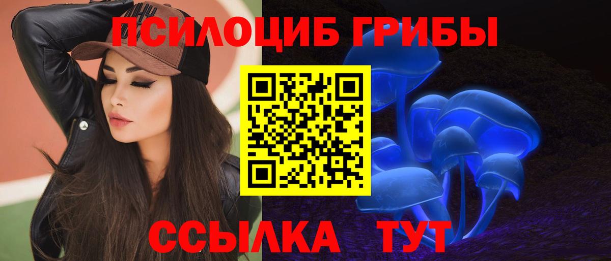 Галлюциногенные грибы прущие грибы  Вход с VPN  Галлюциногенные грибы Psilocybine cubensis  Новый Уренгой 